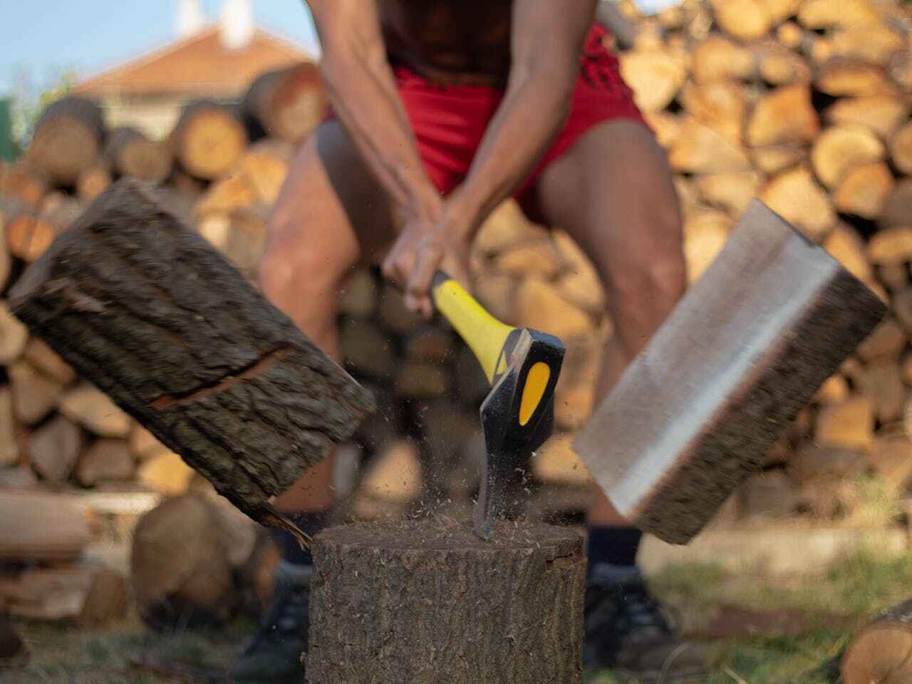 Best Tree Removal for Businesses  in USA